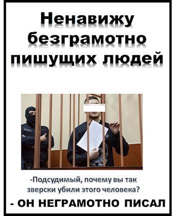 Обложка книги Ненавижу безграмотно пишущих людей