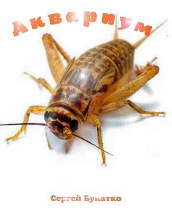 Обложка книги Аквариум.