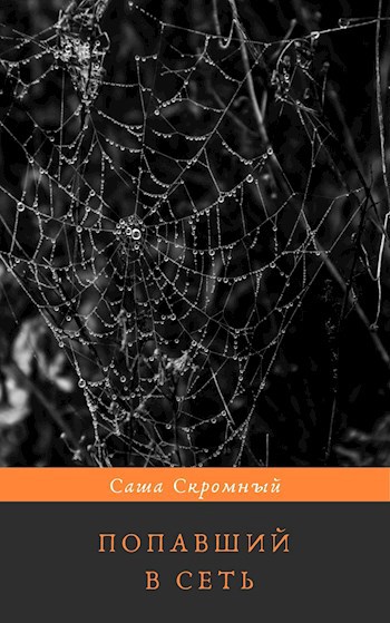 Обложка книги Попавший в сеть