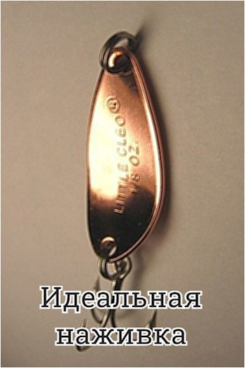 Обложка книги Идеальная наживка