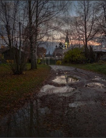 Обложка книги Рассказы Василича