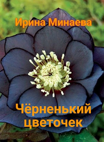 Обложка книги Чёрненький цветочек