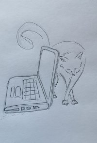 Обложка книги Компьютерный кот