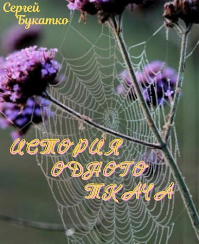 Обложка книги История одного ткача