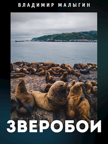 Обложка книги « Зверобои» «Разговоры ни о чём или почти правдивый рассказ старого авантюриста о своей жизни…»