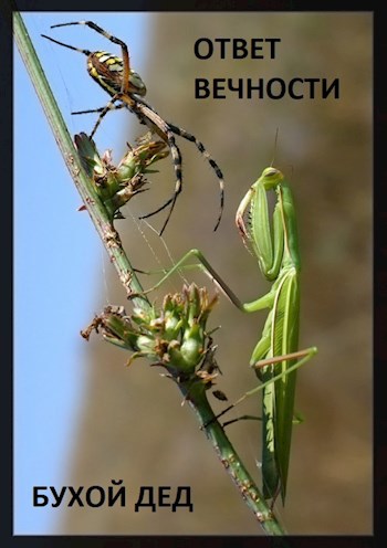 Обложка книги Ответ вечности