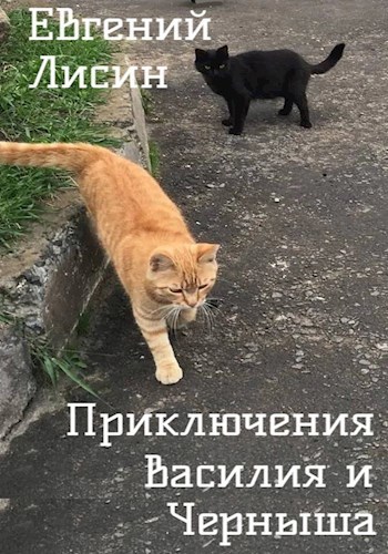 Обложка книги Приключения Василия и Черныша