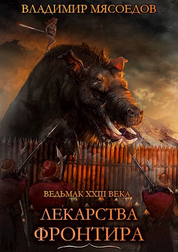 Обложка книги Ведьмак 23го века. Том шестнадцатый. Лекарства Фронтира.