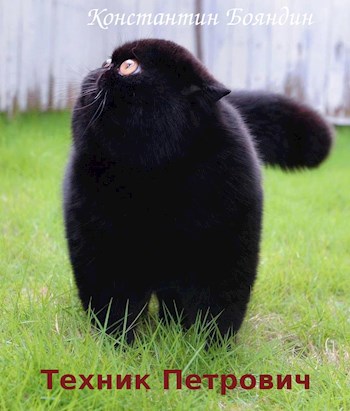 Обложка книги Техник Петрович