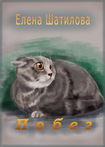 Обложка книги Побег