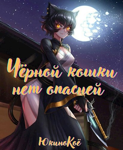 Обложка книги Чёрной кошки нет опасней