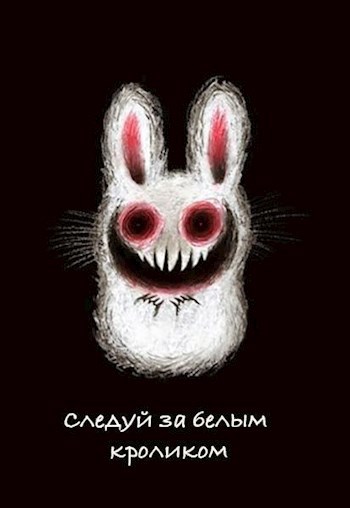 Обложка книги Следуй за белым кроликом