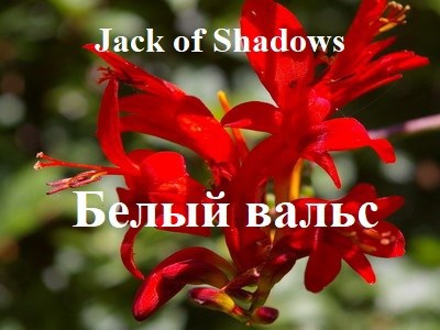 Обложка книги Белый вальс