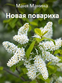 Обложка книги Новая повариха