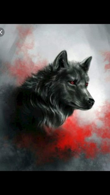 Обложка книги Сон или Явь