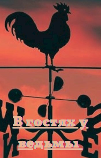 Обложка книги В гостях у ведьмы