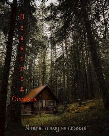 Обложка книги Я ничего ему не сказал