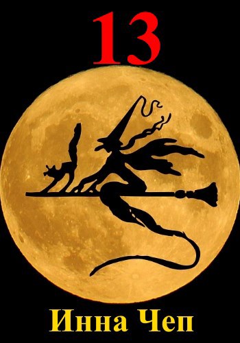 Обложка книги 13