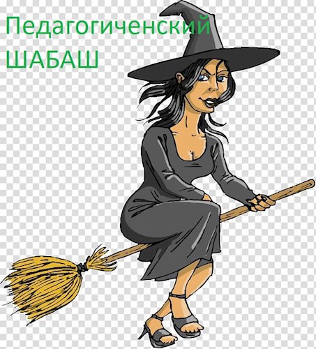 Обложка книги Педагогический шабаш