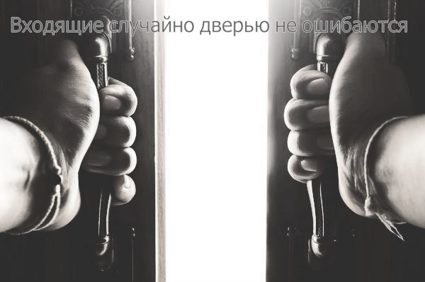 Обложка книги Входящие случайно дверью не ошибаются