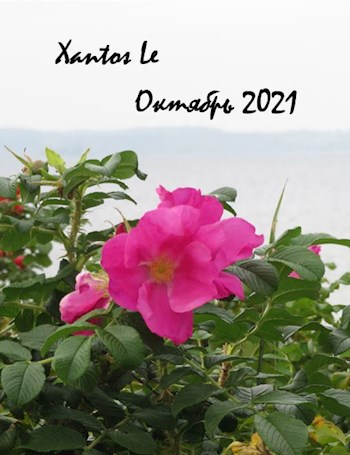 Обложка книги Октябрь 2021