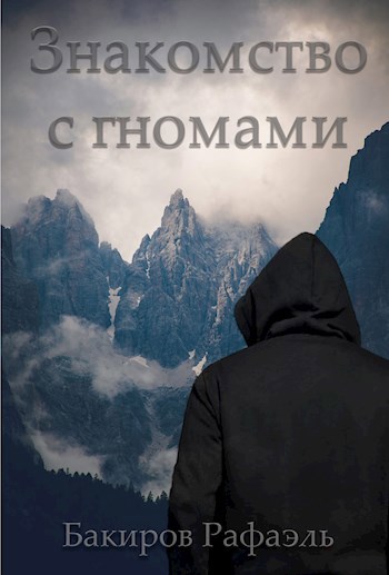 Обложка книги Знакомство с гномами