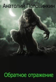 Обложка книги Обратное отражение