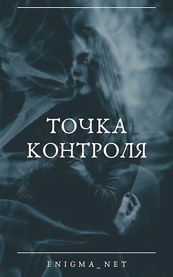 Обложка книги Точка контроля