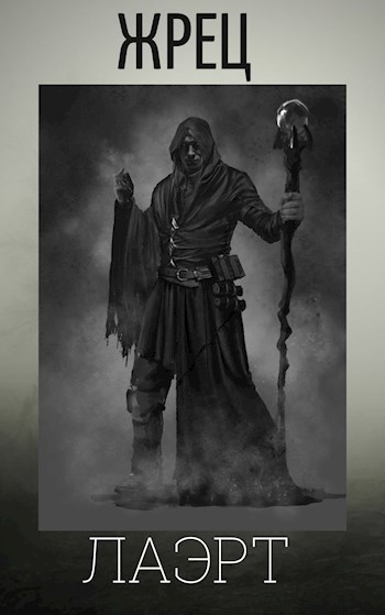 Обложка книги Жрец