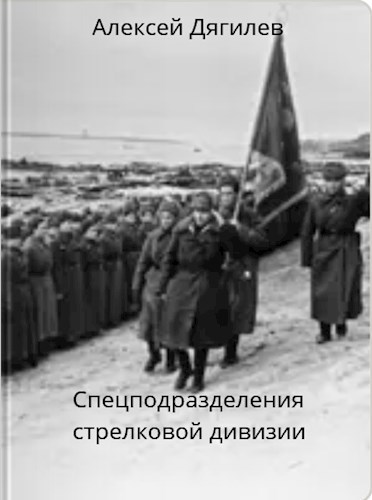Обложка книги Спецподразделения стрелковой дивизии.