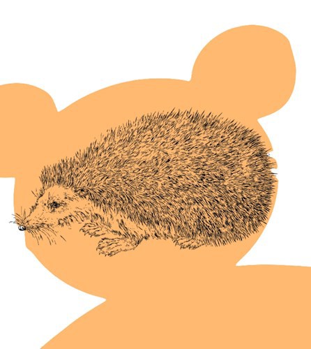 Обложка книги Ёжик