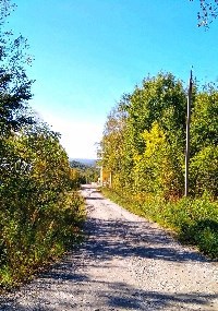 Обложка книги Орден Серебряного пути. Начало