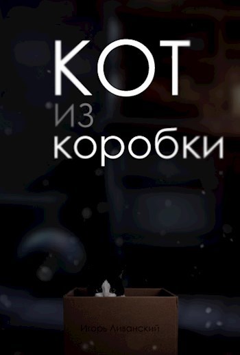 Обложка книги Кот из коробки