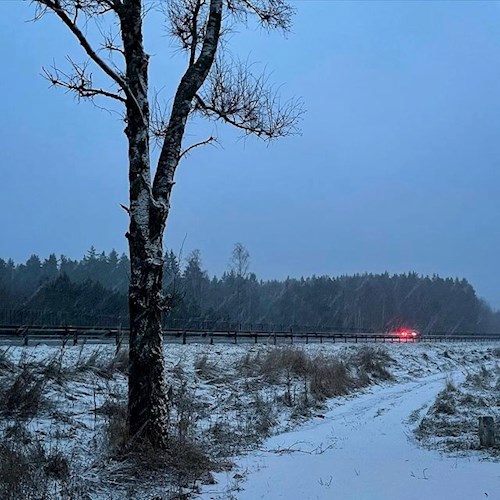 Обложка книги Район сна