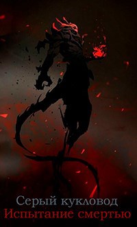 Обложка книги Испытание смертью