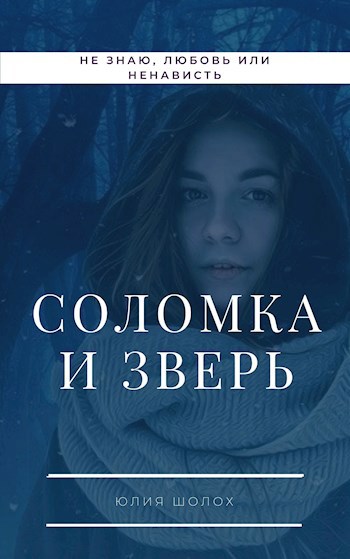 Обложка книги Соломка и Зверь