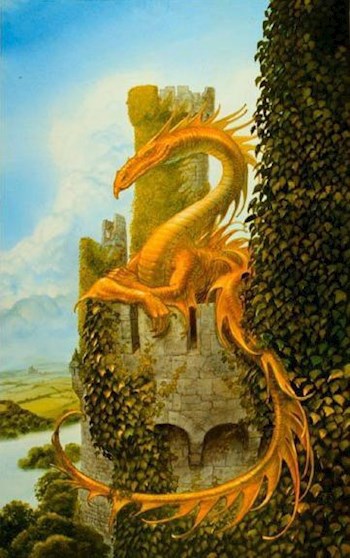 Обложка книги Сердце огня