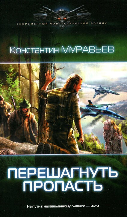 Обложка книги Перешагнуть пропасть