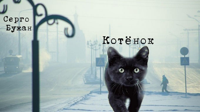 Обложка книги Котёнок