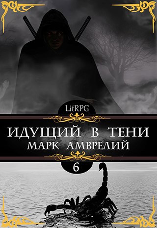 Обложка книги Идущий в тени 6