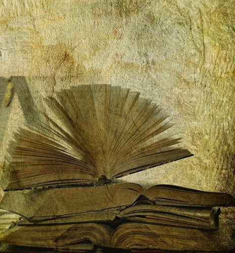 Обложка книги Фейкодром