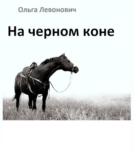 Обложка книги На черном коне