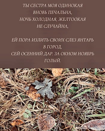 Обложка книги Отражение
