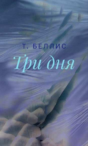 Обложка книги Три дня