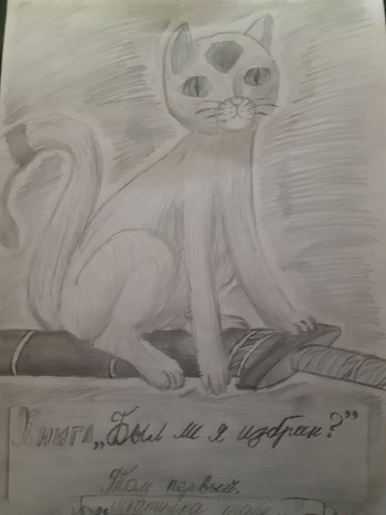 Обложка книги Был ли я избран