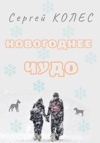 Обложка книги Новогоднее чудо
