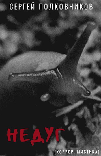 Обложка книги Недуг