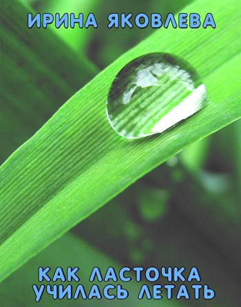 Обложка книги Как ласточка училась летать