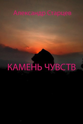 Обложка книги Камень чувств