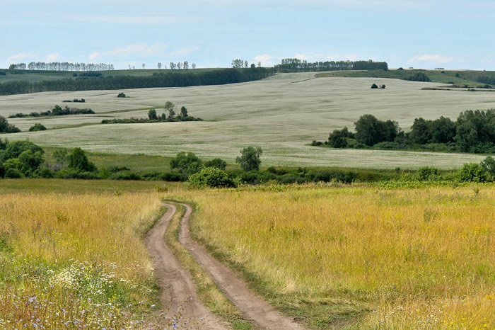 Обложка книги Переводы и перепевы